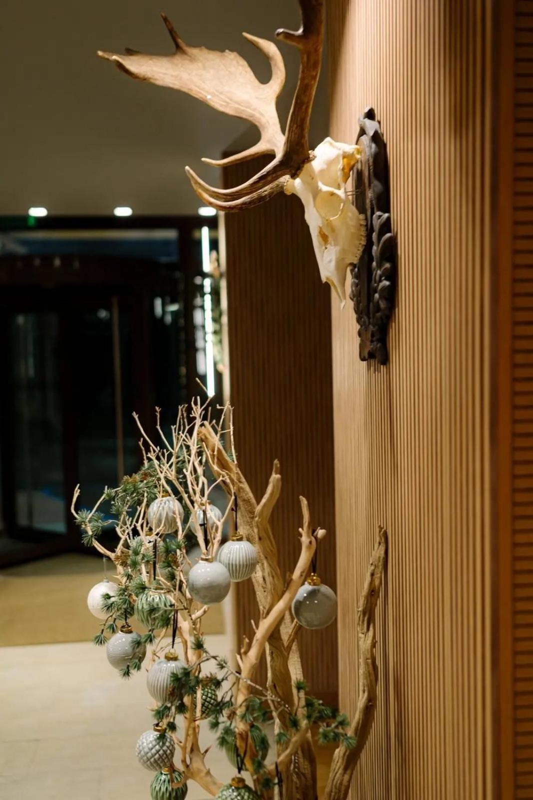 The Lodge Hotel 波罗维茨 外观 照片